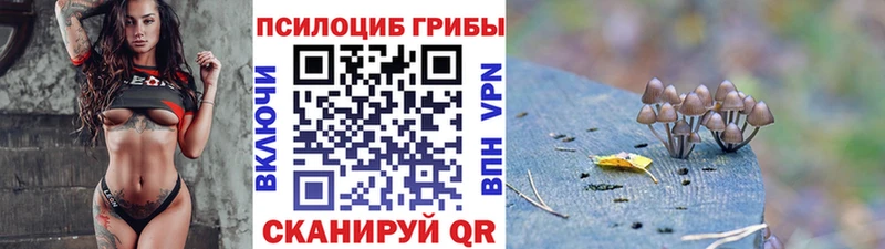 ОМГ ОМГ ССЫЛКА  Сибай  Псилоцибиновые грибы Magic Shrooms  где можно купить наркотик 